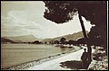 Puerto de Pollensa 1920.jpg
